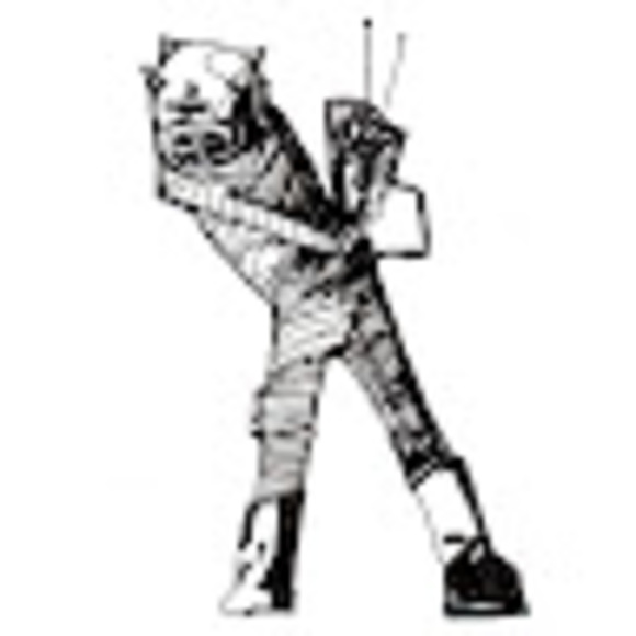 Meet your Posher, Jasper - Picture 1 of 1